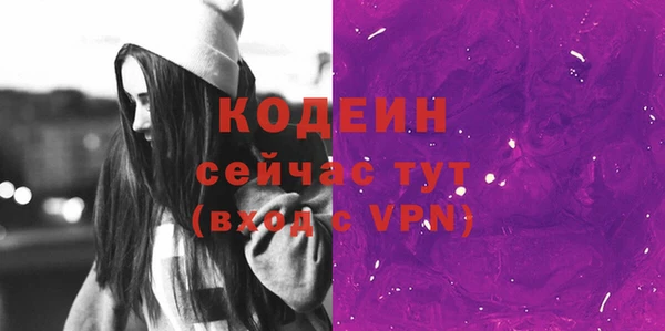 хмурый Верея