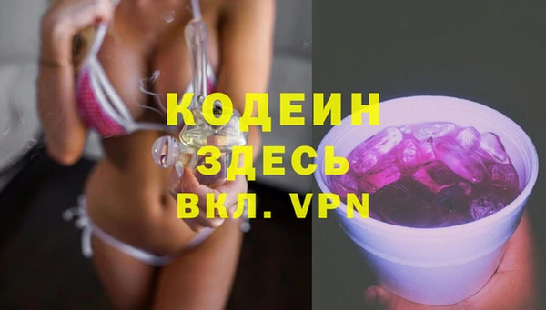 хмурый Верея