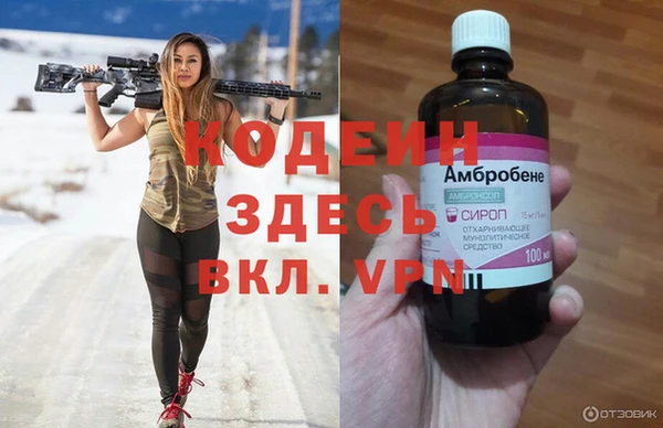 хмурый Верея