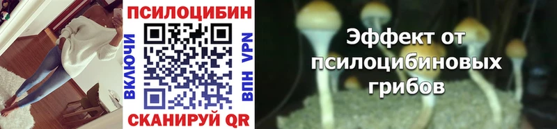 Галлюциногенные грибы Psilocybe  Нерюнгри 