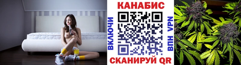где можно купить наркотик  Нерюнгри  нарко площадка как зайти  Марихуана сатива 